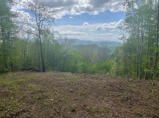 0 Pigeon Creek Rd LOT 1, Bryson City, NC 28713