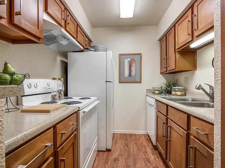 Elegant Kitchen