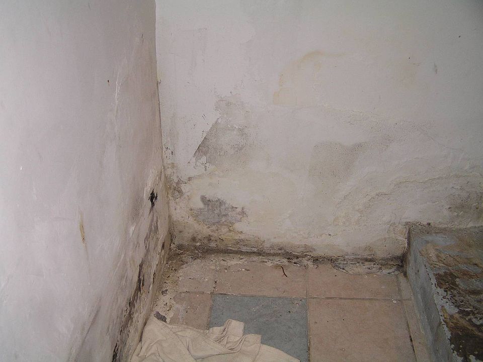2nd image of 209-51 47th Ave