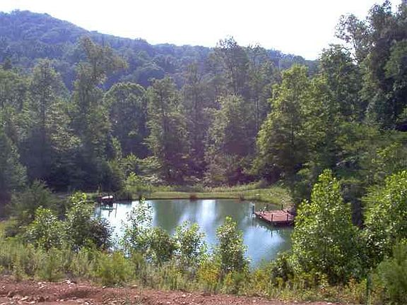 3rd image of 233 Lauderback Gap Trl
