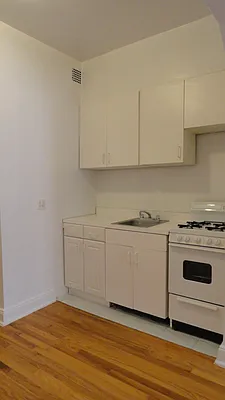 Rented by Manhattan Flats | media 11