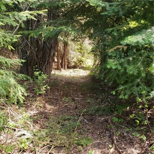 49 Wagon Wheel Rd, Cle Elum, WA, 98922