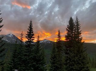 71 Red Fox Dr, Breckenridge, CO 80424