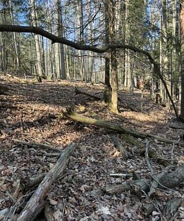 5th image of Miramichi Dr Lot 811