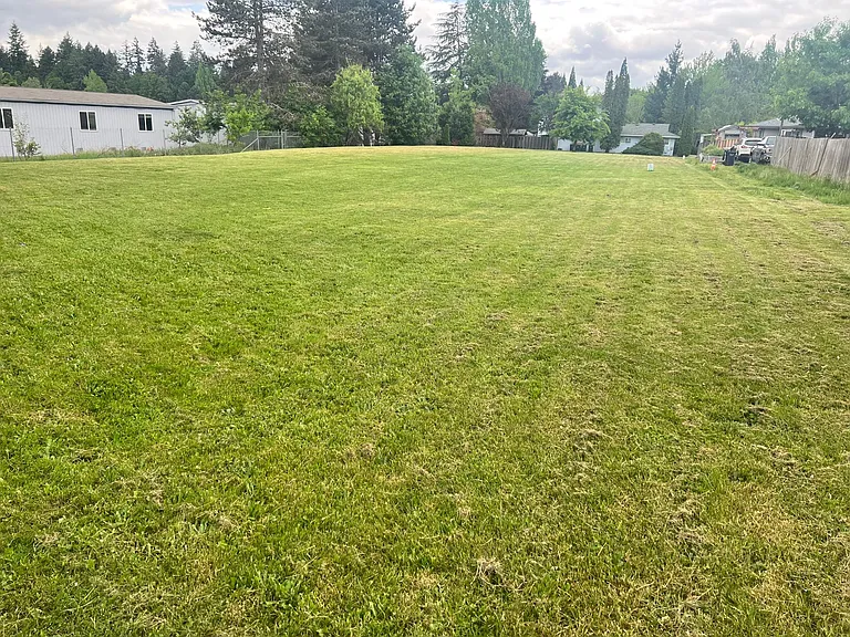 Backyard view