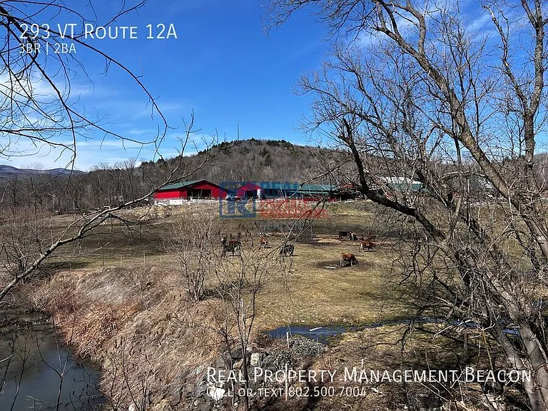 293 State Route 12A — Photo 26