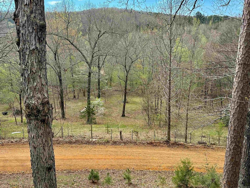 49th image of this home