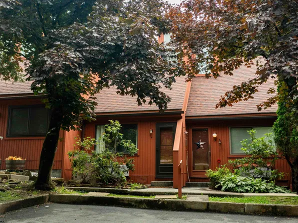 4 Pendletonheim Cir #4, Davis, WV 26260