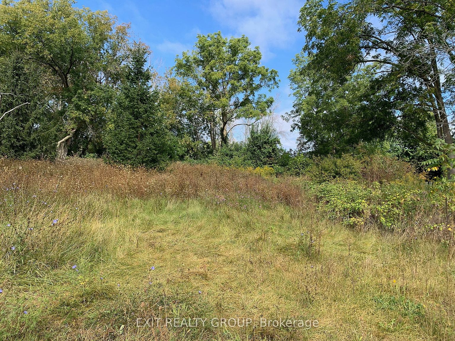 1258 County Road 3, Prince Edward County, ON K8N 4Z1 MLS X7026650