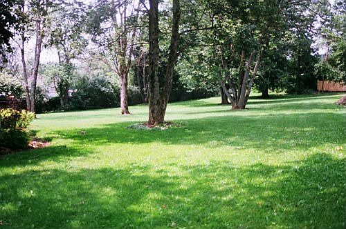 Gorgeous .72 acre lot, wonderful for kids and pets