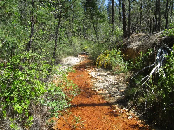 15699 Tyler Foote Rd, Nevada City, CA 95959