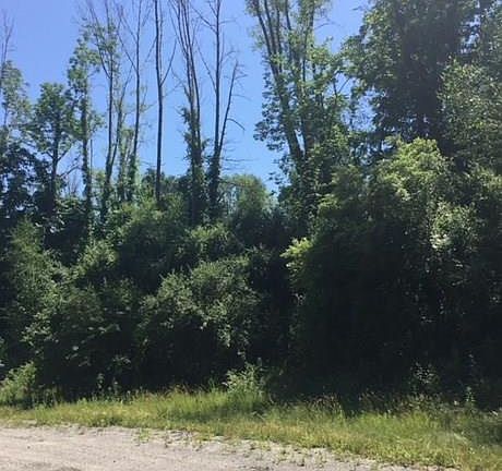 5th image of 7 Eagle Wood Vista Ln