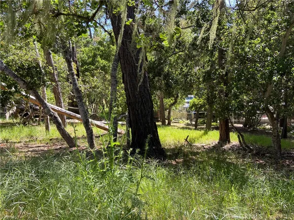 0 Langton St #9, Cambria, CA 93428