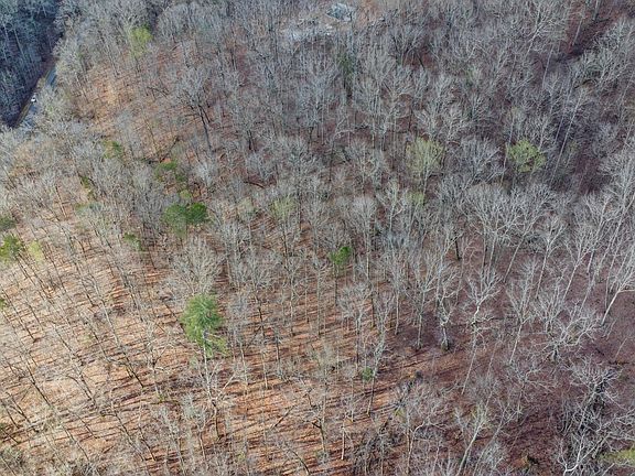 2nd image of LOT 435 Hidden Oaks Rd