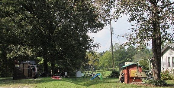 left side view of subject