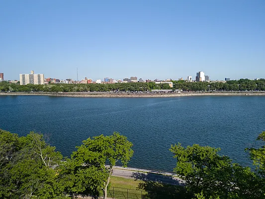 Rented by Reavis | media 2