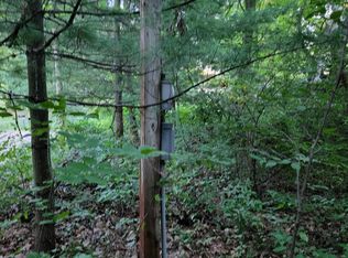 9270 East St, Lake, MI 48632