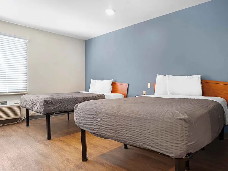Studio Suite - 2 Full Beds