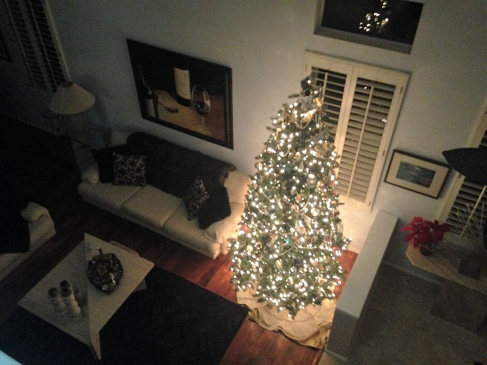 1st image of 12530 Swan Canyon Ct