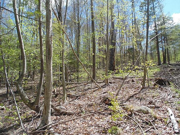 4th image of 0 Johnson Hill Road