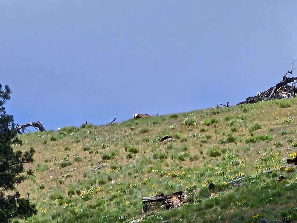 13th image of Nhn Blind Creek Draw Rd