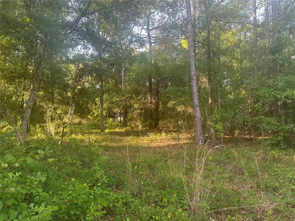 1533 Slash Pine Rd #63, Lakeland, FL 33809