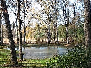 Another view of pond