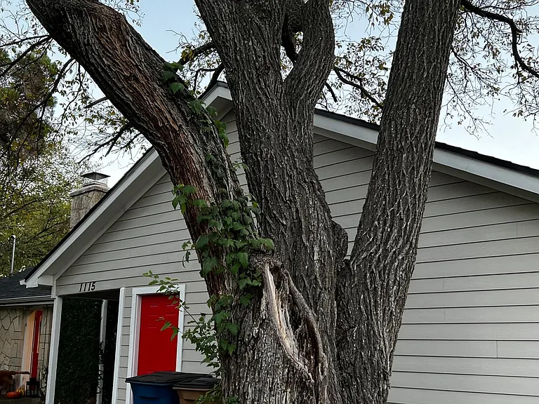 1115 Taulbee Ln #B — Photo 2