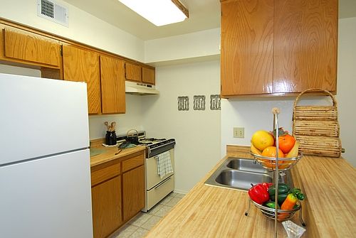 5th image of 28856 Silver Saddle Cir APT 101