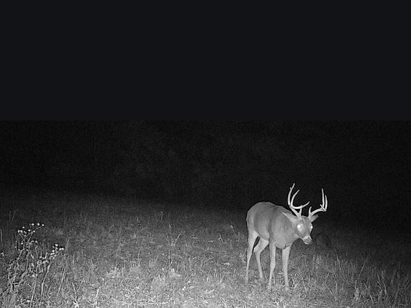 3rd image of 29550 King Road