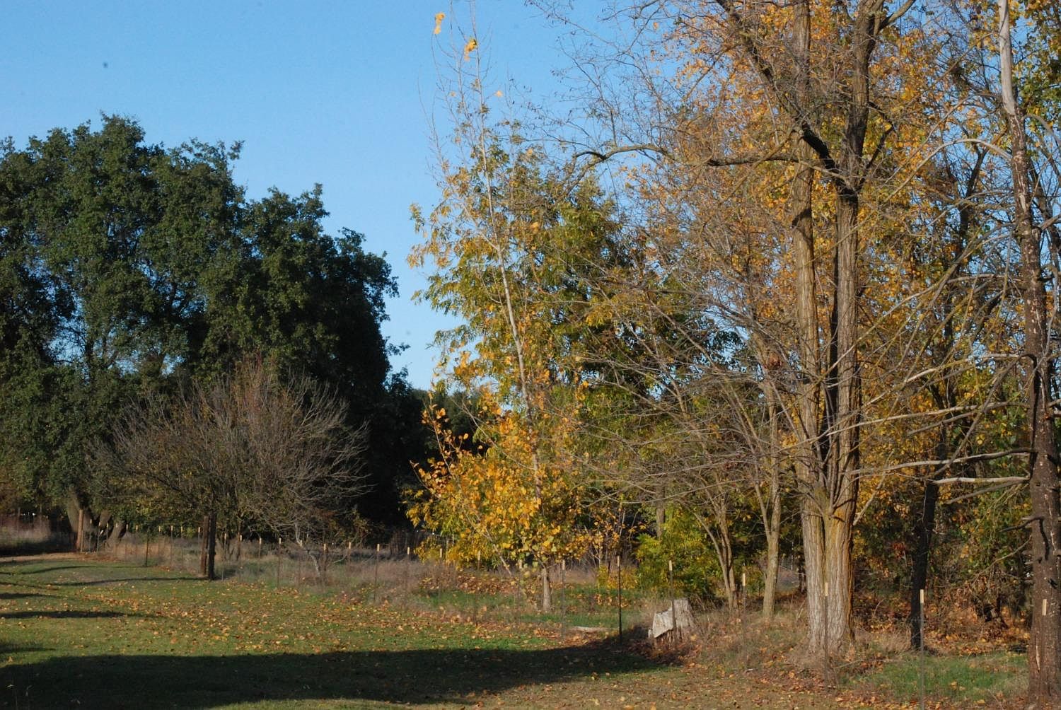 2815 Hooper Rd, Marysville, CA 95901 Zillow