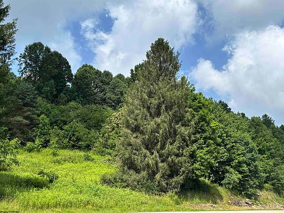 4th image of Barbour County Hwy