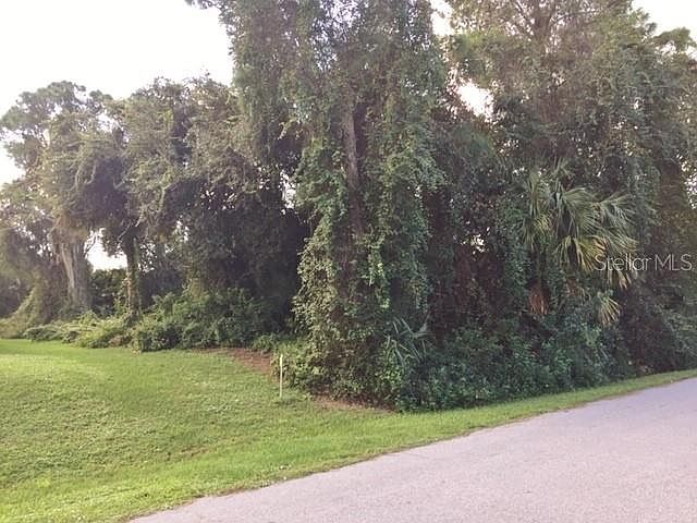 2nd image of January Ave