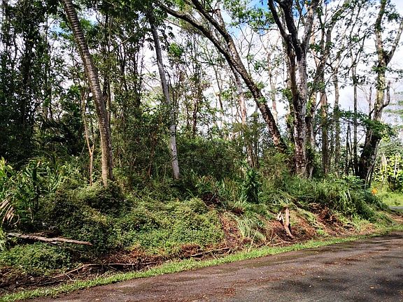 2nd image of Luana St Lot 101