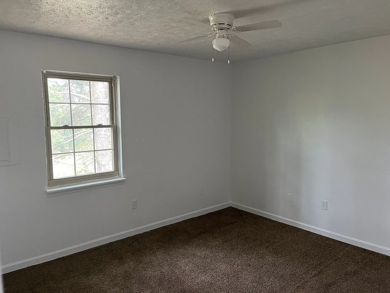 291 Shelby Ave — Photo 2