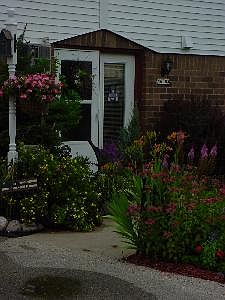 Sussex_12092019