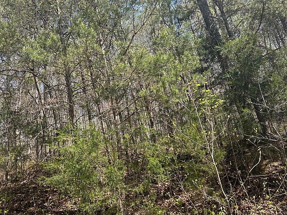 3rd image of LOT 3 Jones Ridge Rd