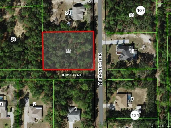 5516 N Bronco Ter, Beverly Hills, FL 34465