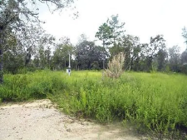 11866 NE 67th Pl, Williston, FL 32696