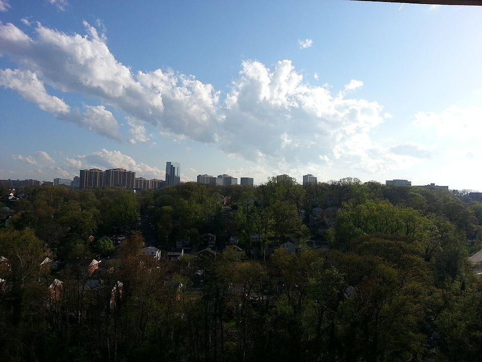Sunny day view
