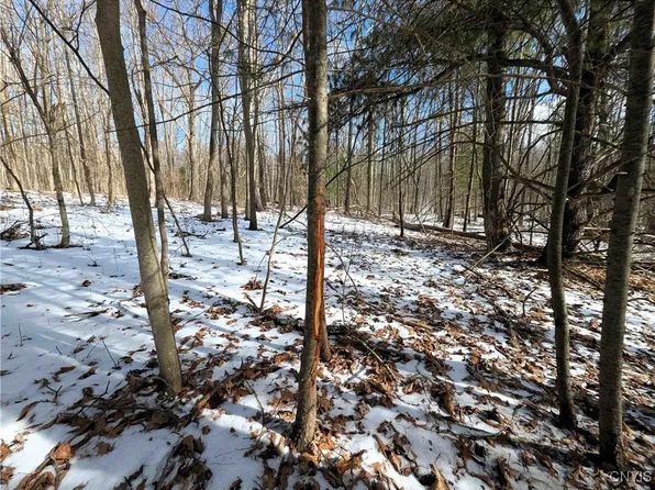 Markle Hollow Rd, Big Flats, NY 14814