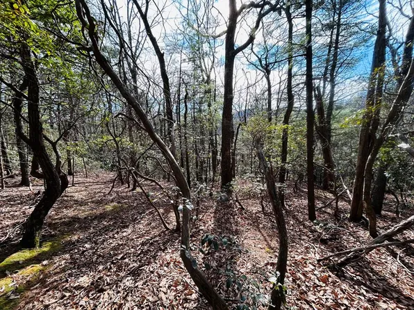 Tbd Chalet Dr, Fancy Gap, VA 24328