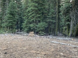 0 Bridle Rd LOT 9, Alturas, CA 96101