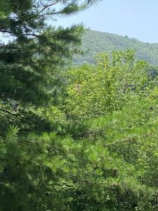 0 Pin Oak Rdg, Murphy, NC, 28906