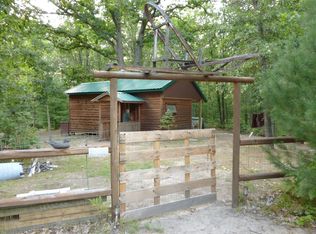 5 Mile Rd, Irons, MI 49644