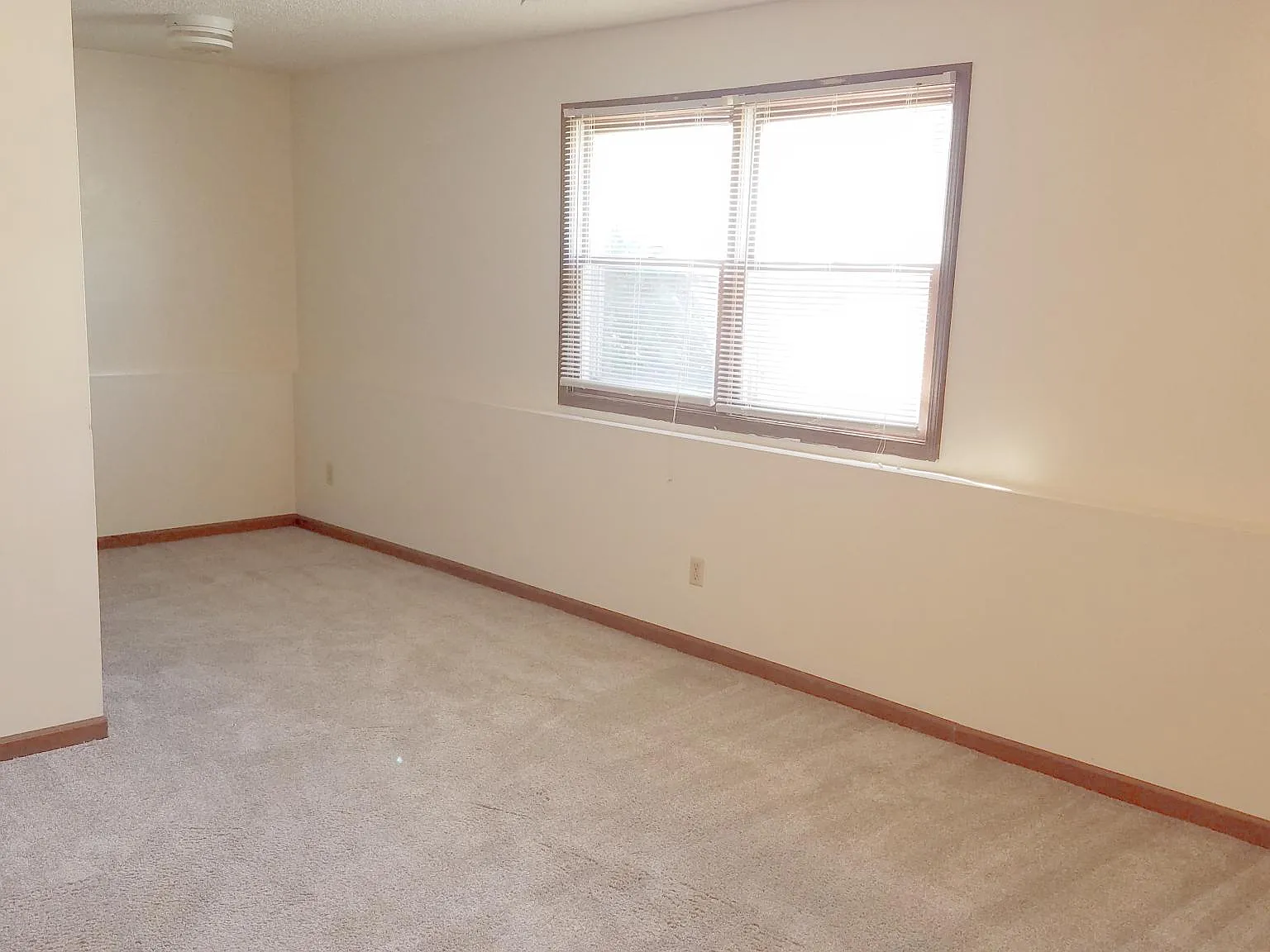 2 bed, $600 — Photo 3