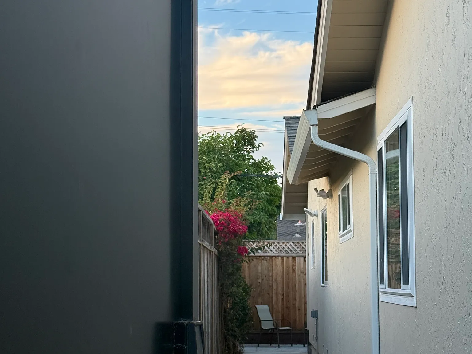 1 bed, 800 sqft, $3,800 — Photo 2