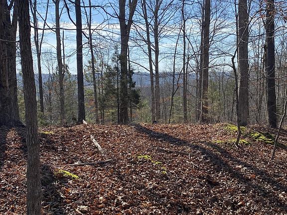2nd image of 0 County Road 47