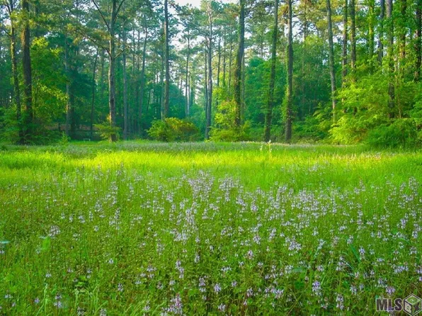 Highway 190, Hammond, LA 70401