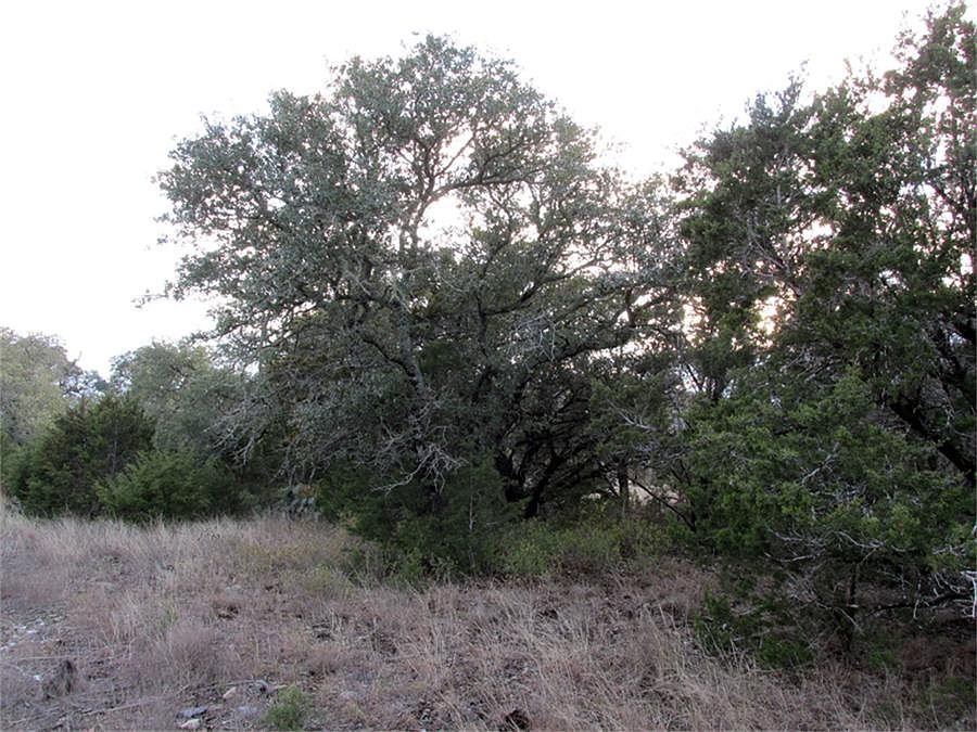 1st image of 663 River Chase Dr